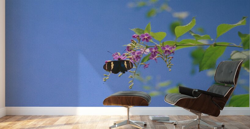Black butterfly flower love Wall Murals