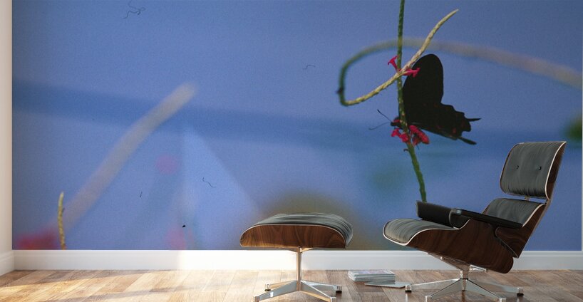 Black butterfly flower love Wall Murals