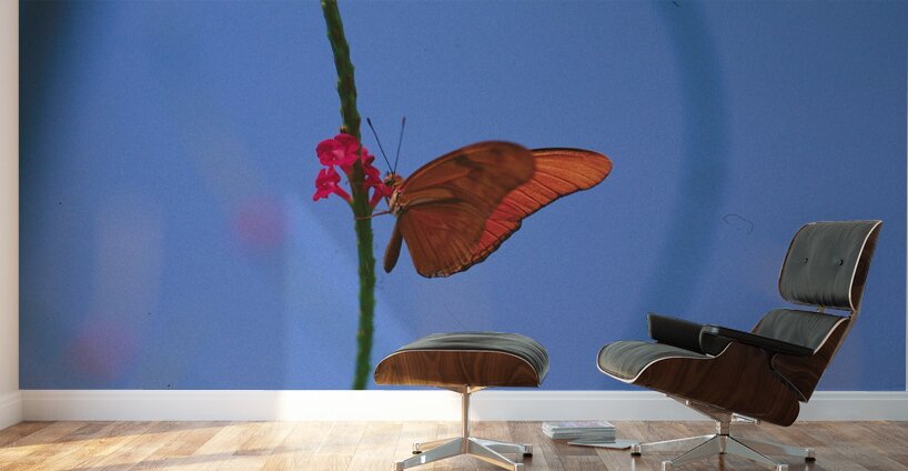 Butterfly and flower love Wall Murals