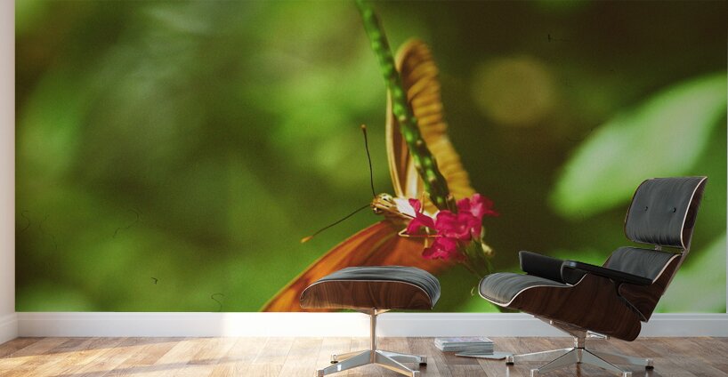 Orange butterfly having a drink Wall Murals