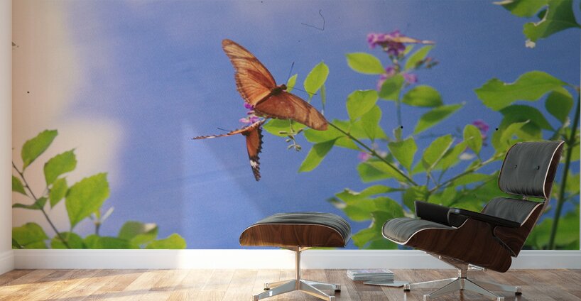 Orange butterflies playing Wall Murals
