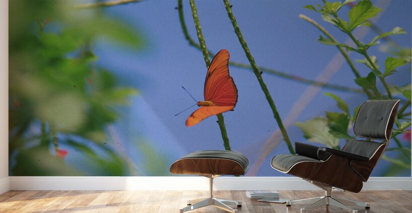 Orange Butterfly Having A Rest Wall Murals