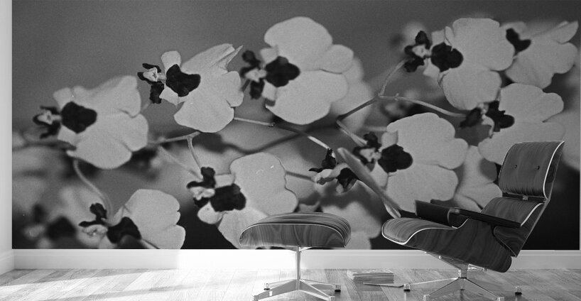 Black and White Floral Series 2 Wall Murals