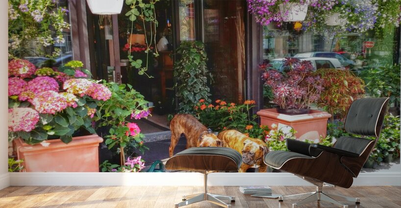 2 Dogs in the Flower Shop Wall Murals