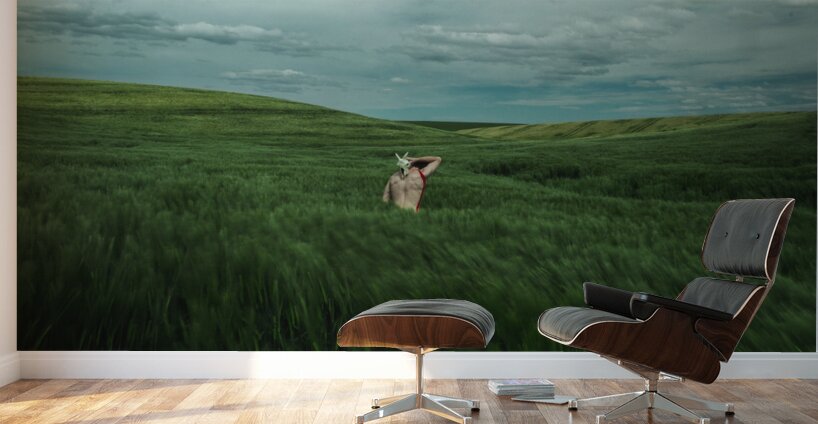 Woman In A Field Wall Murals