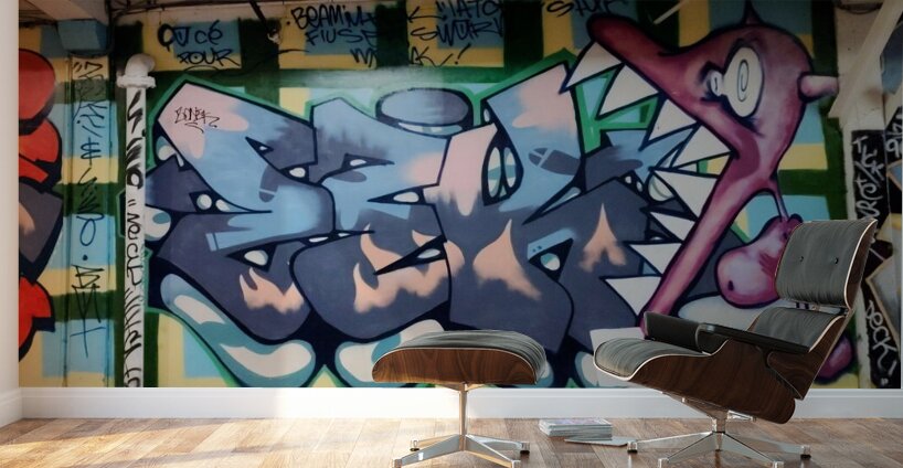 Graffiti Art Wall Murals