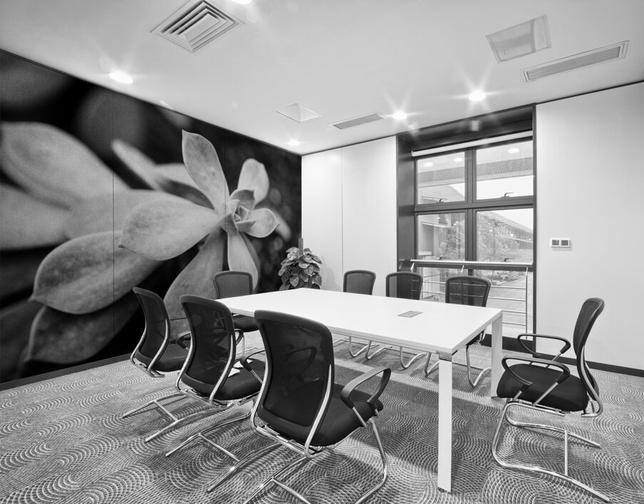 Black  White Floral Series1 Wall Printing