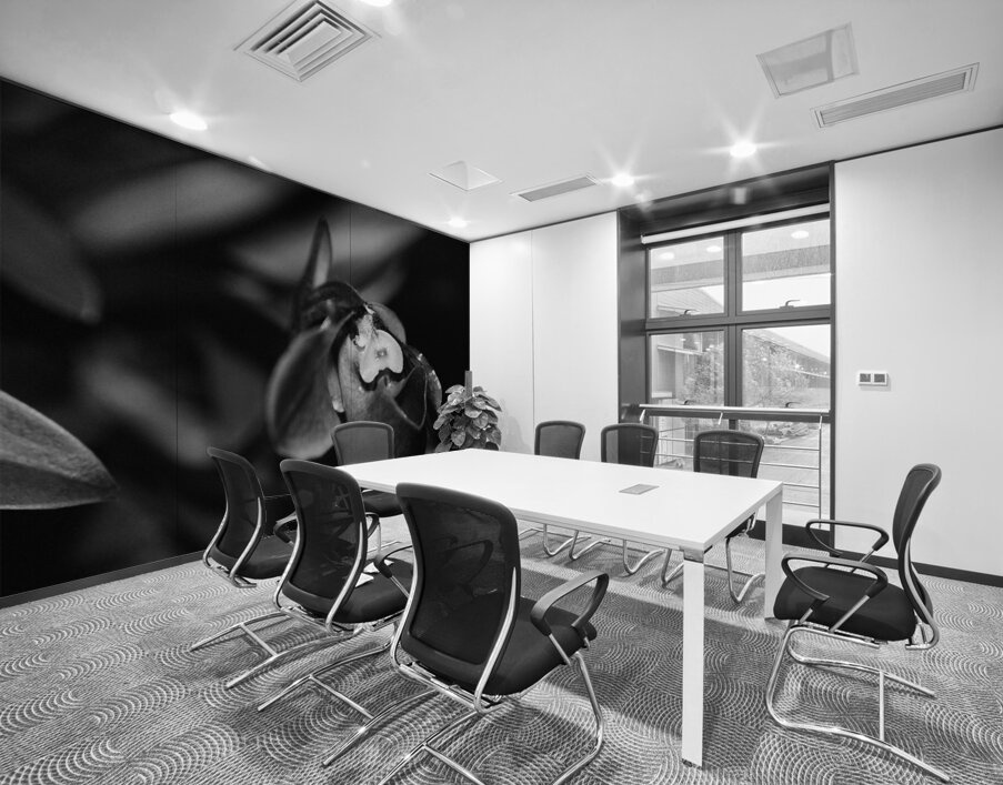 Black  White Floral Series 6 Wall Printing