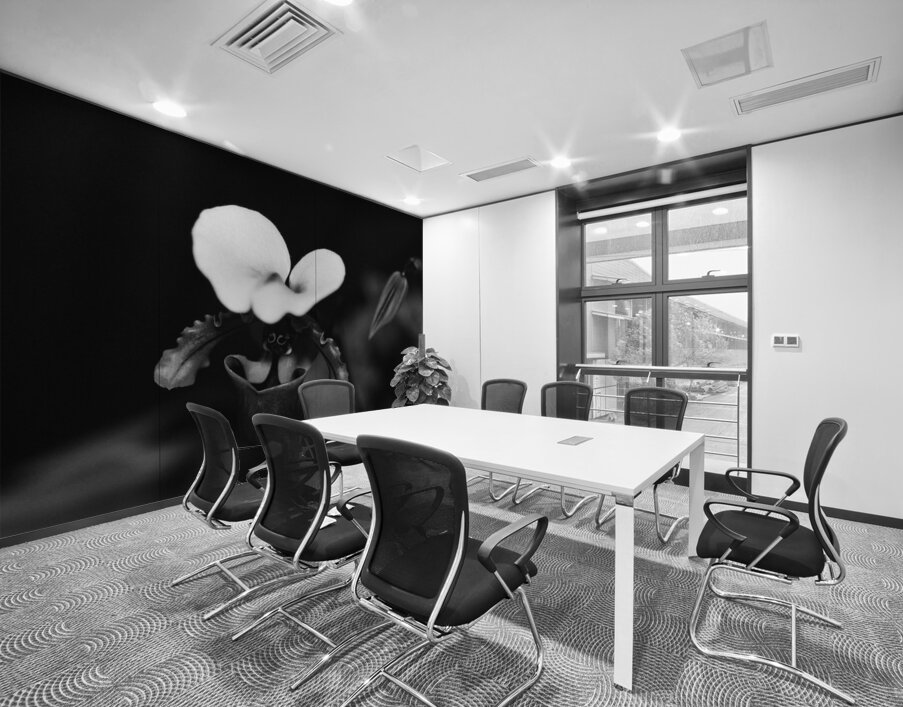 Black  White Floral Series 10 Wall Printing