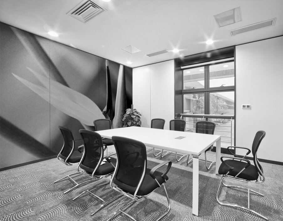 Black  White Bird of Paradise  Wall Printing