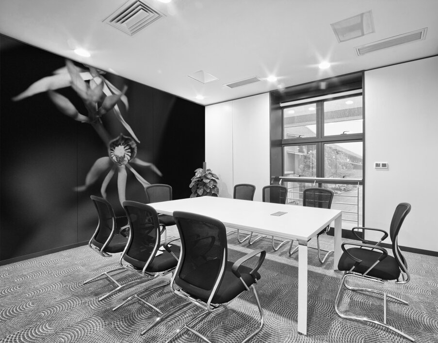 Black  White Floral Series 11 Wall Printing