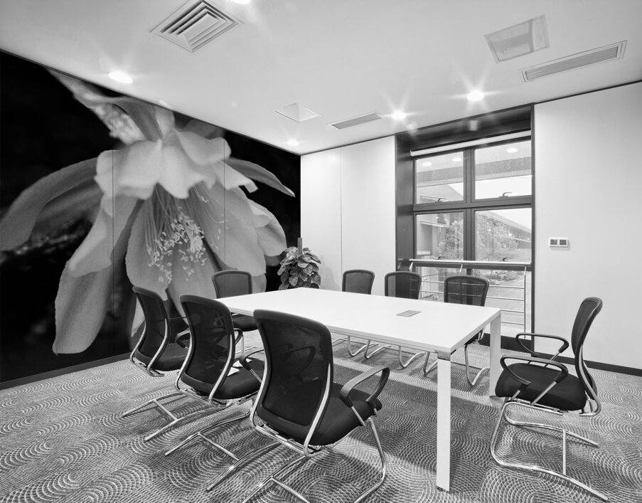 Black and White Peony Burst Wall Printing