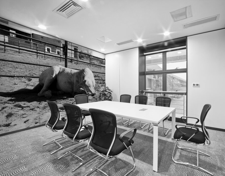 Magnificent Horse Pose 3 Wall Printing