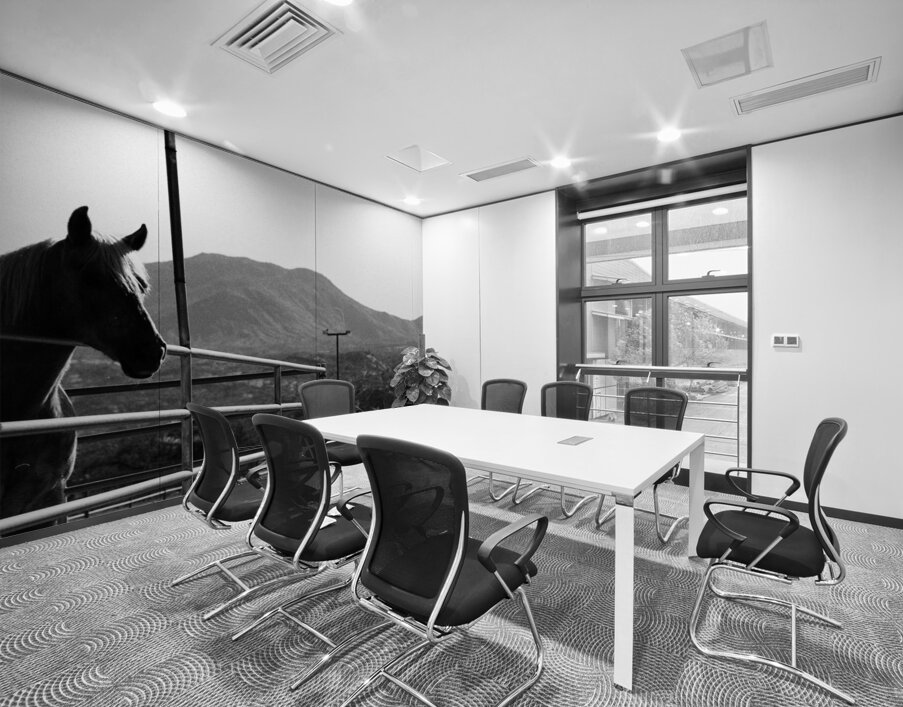 Horse amidst the mountains Wall Printing