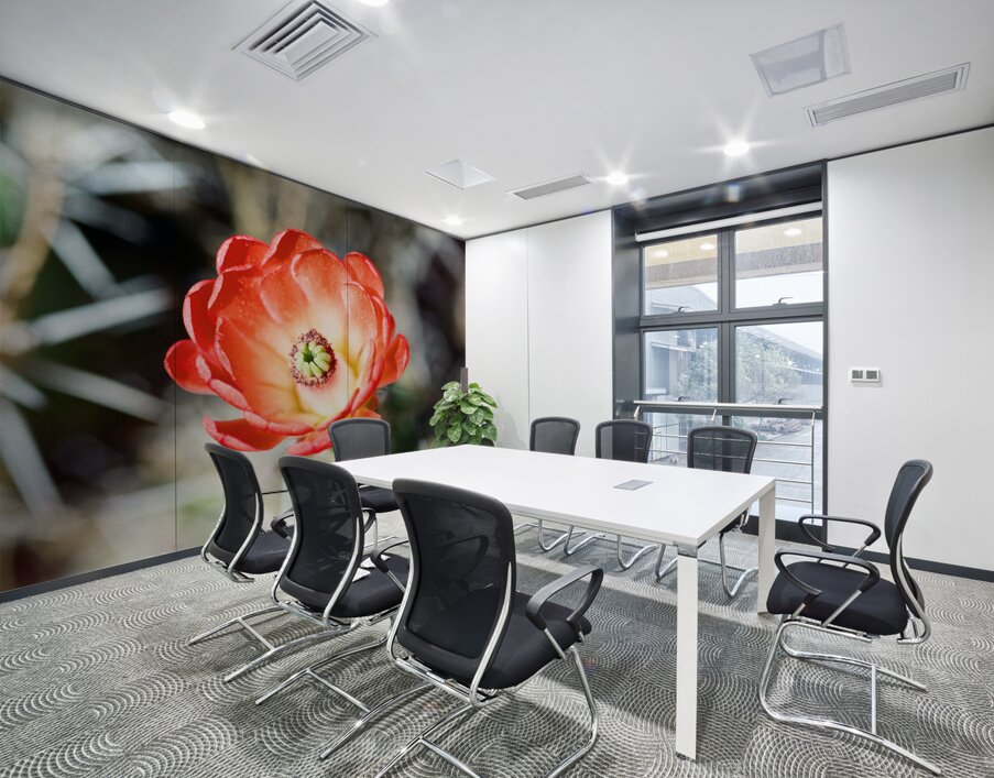 Red Cacti 2 Wall Printing