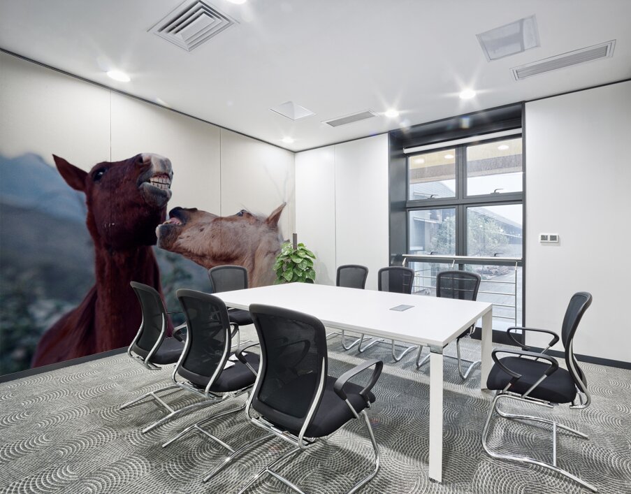 Horse Sparring 2 Wall Printing