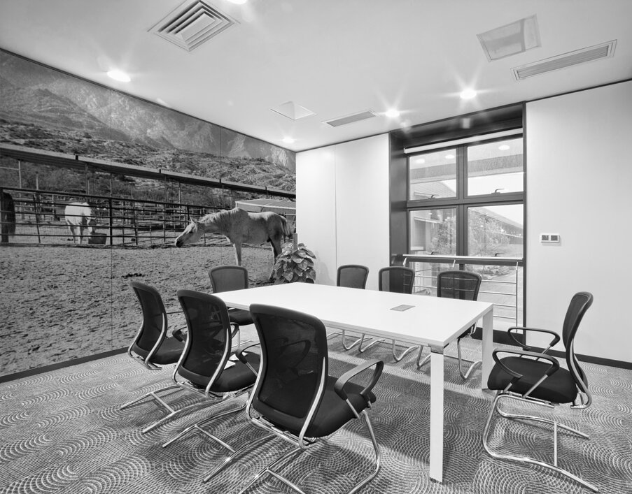 Horse Stretch Wall Printing