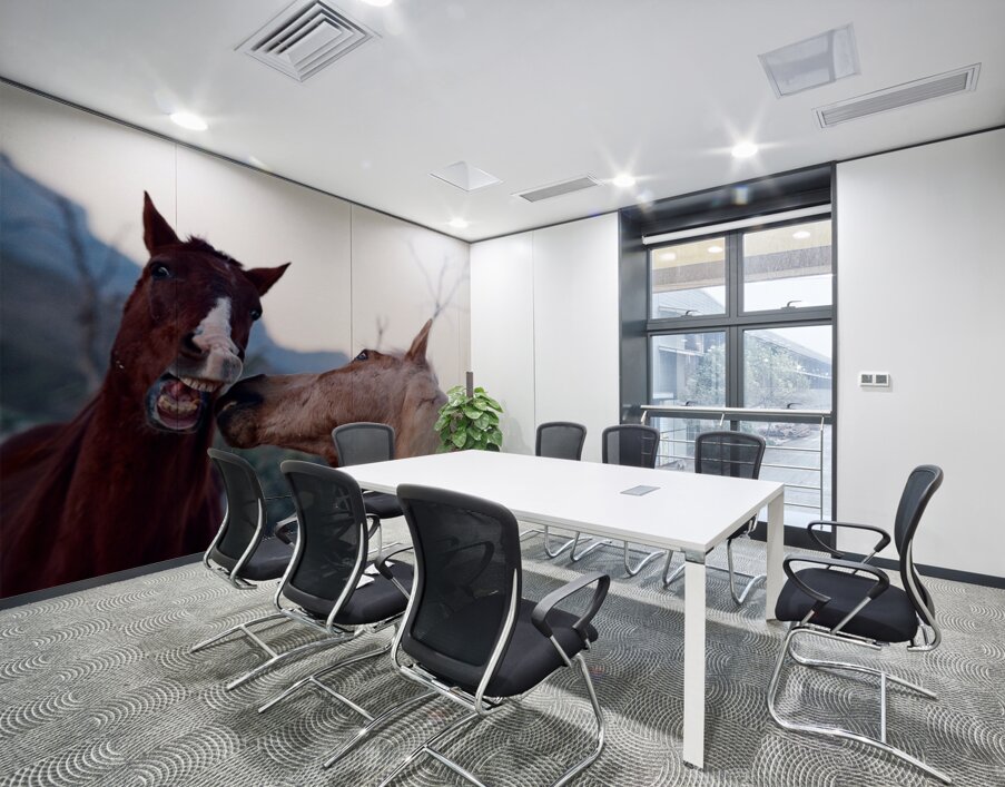 Horses Sparring Wall Printing