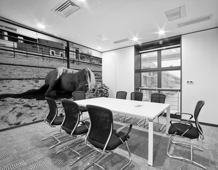 Magnificent Horse Pose 2 Wall Printing