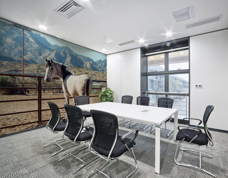 Horse and Mountains Wall Printing