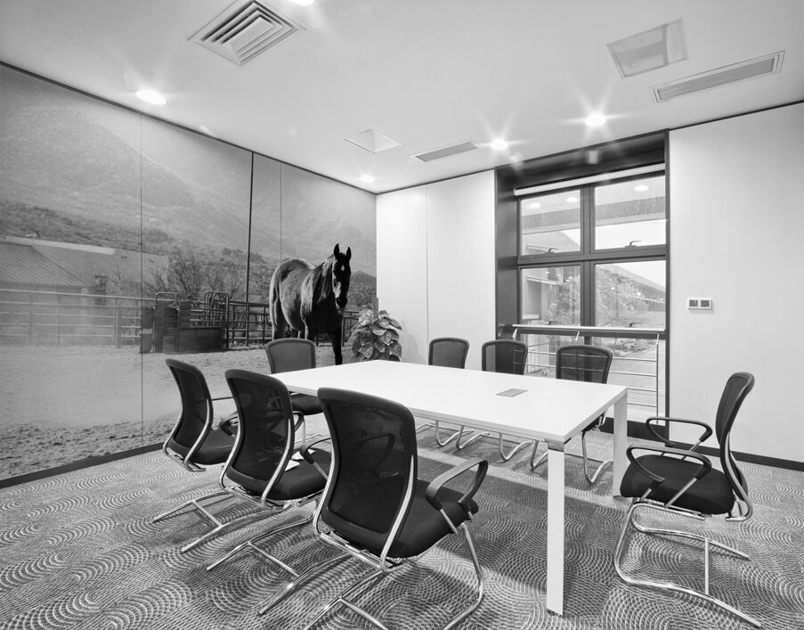 Black Horse Dust Wall Printing