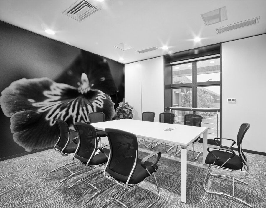 Black and White Orchid Series 21 Wall Printing