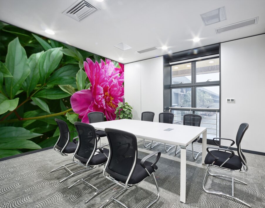 PInk Peony Wall Printing