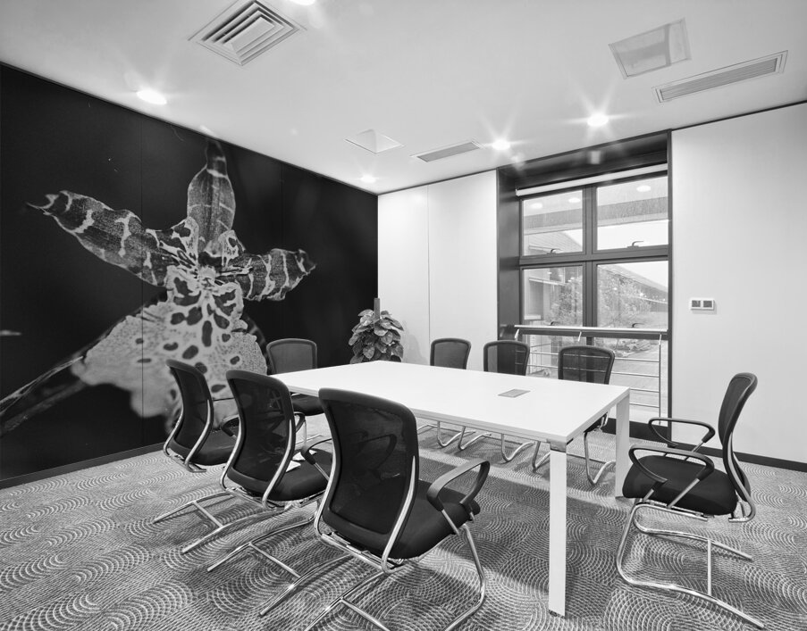 Clown Orchid Wall Printing