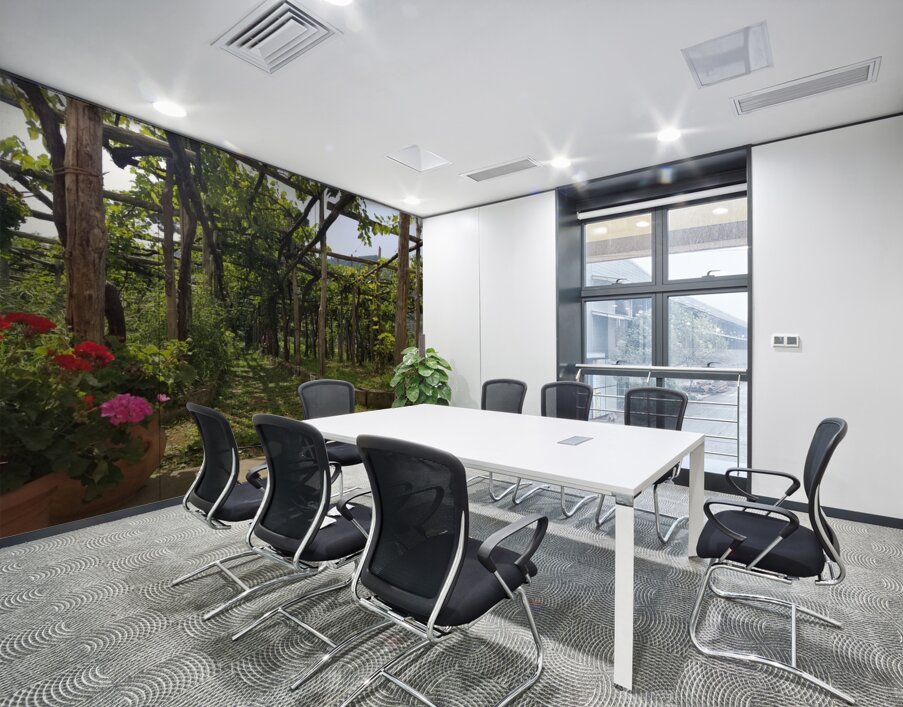 Amalfi vineyards Wall Printing