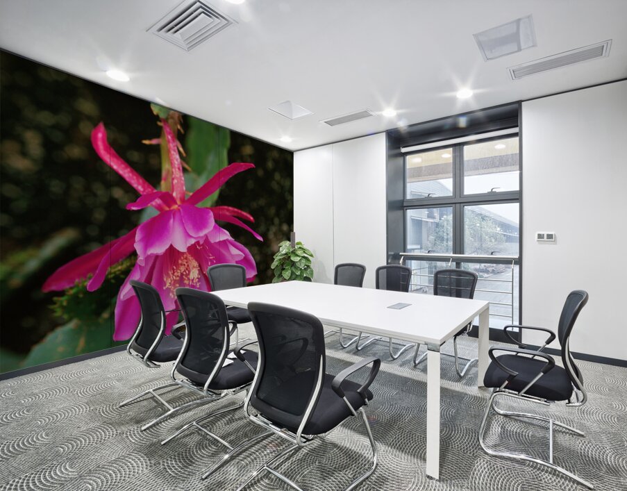 Fuschia Peony Burst Wall Printing