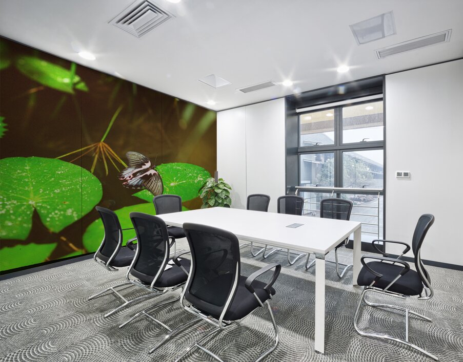 Butterfly Soars Wall Printing