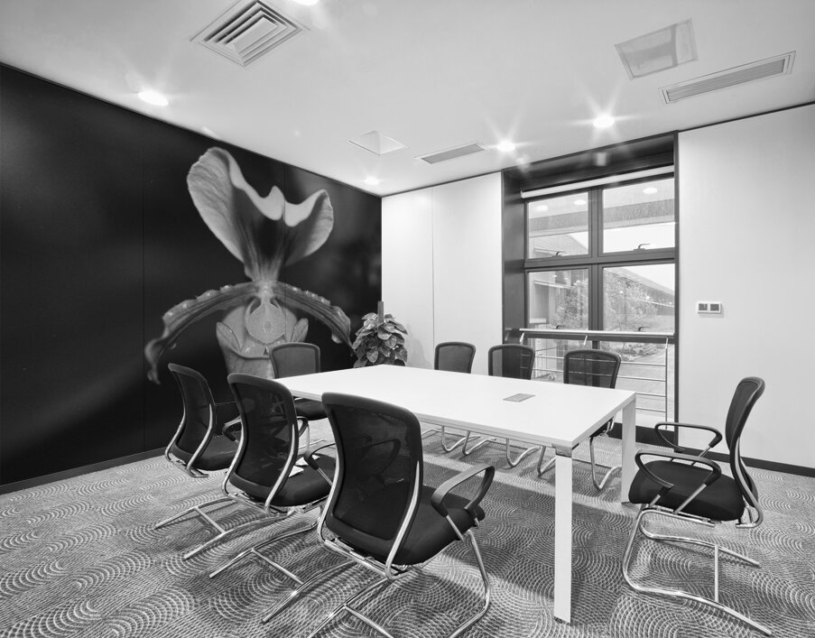 Black and White Orchid Series 2 Wall Printing