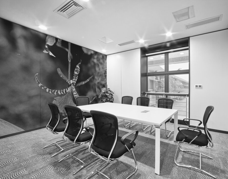 Black and White Orchid Series 1 Wall Printing