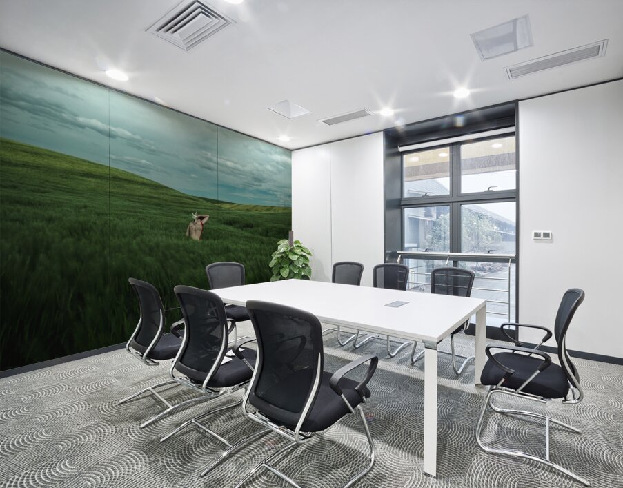 Woman In A Field Wall Printing