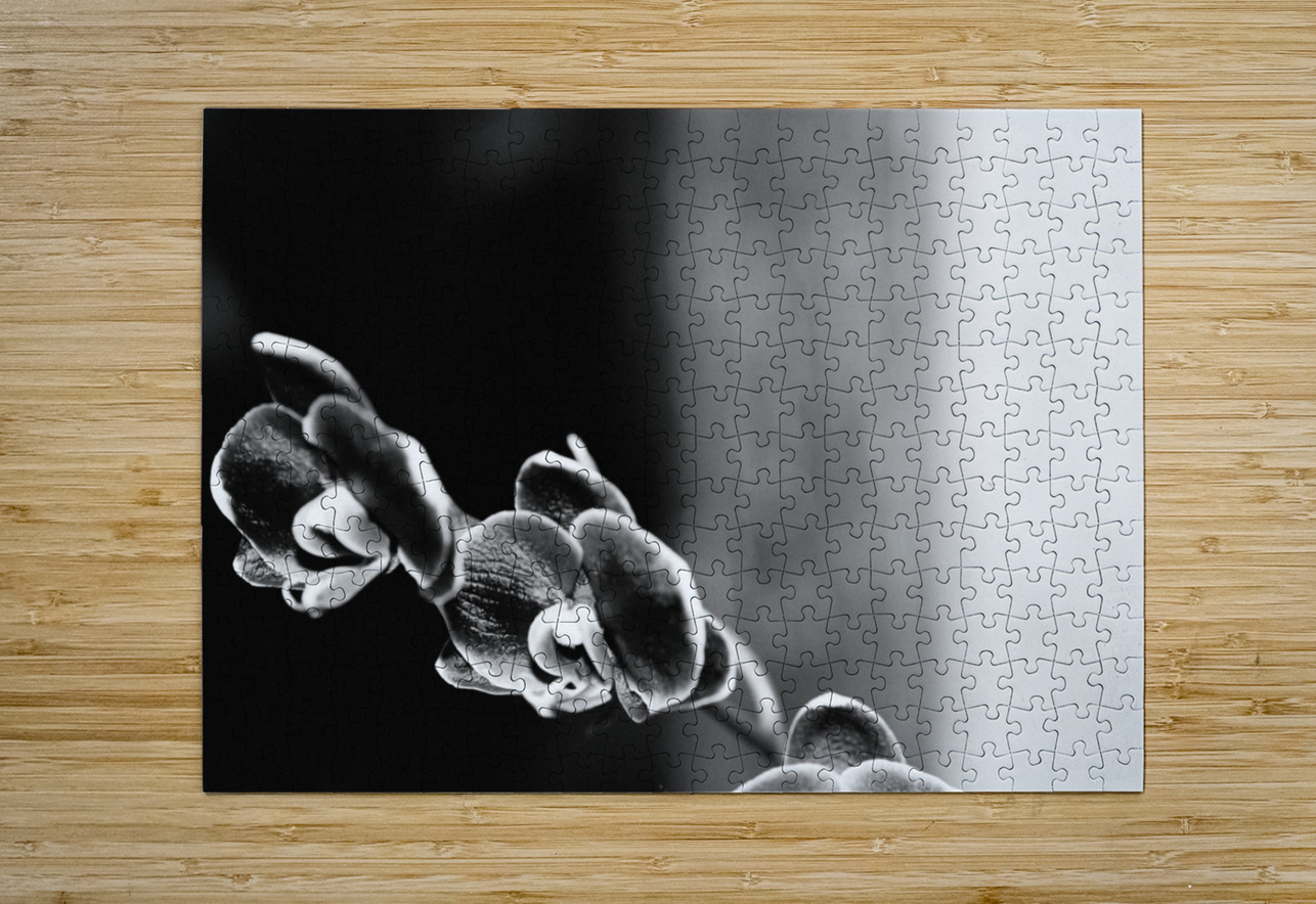 Black  White Floral Series 12 Bonnies Wall Art Puzzle printing