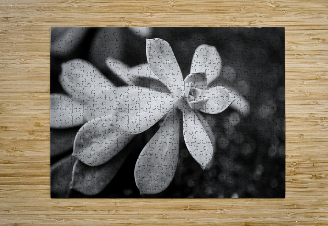 Black  White Floral Series1 Bonnies Wall Art Puzzle printing