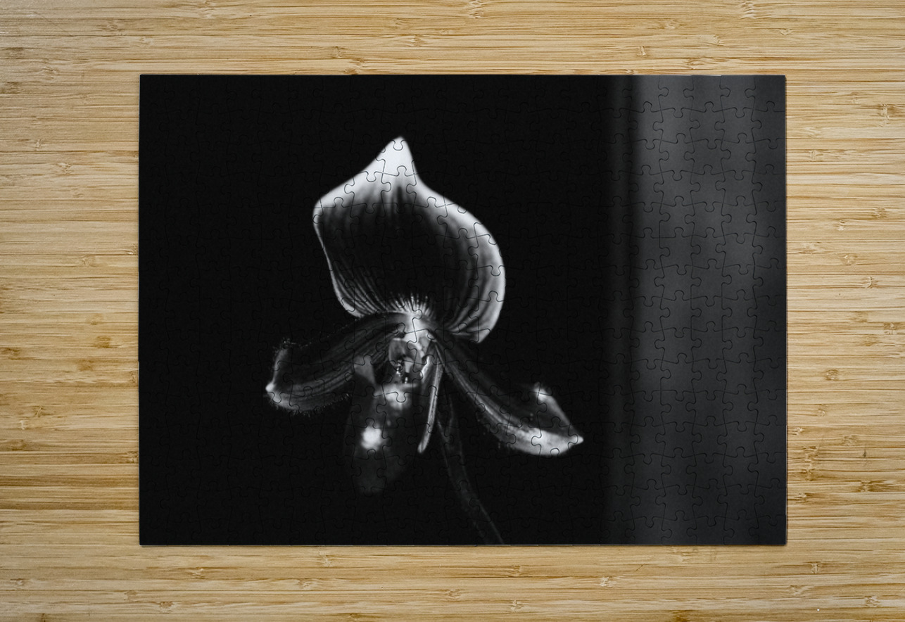 Black  White Floral Series 9 Bonnies Wall Art Puzzle printing