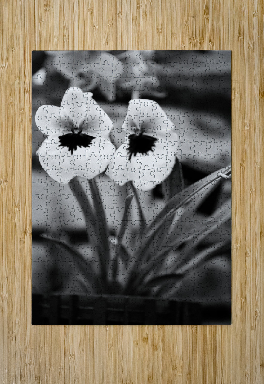 Black  White Floral Series - Double Trouble Bonnies Wall Art Puzzle printing