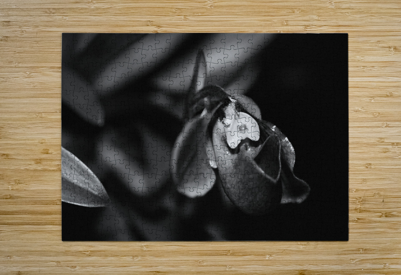 Black  White Floral Series 6 Bonnies Wall Art Puzzle printing