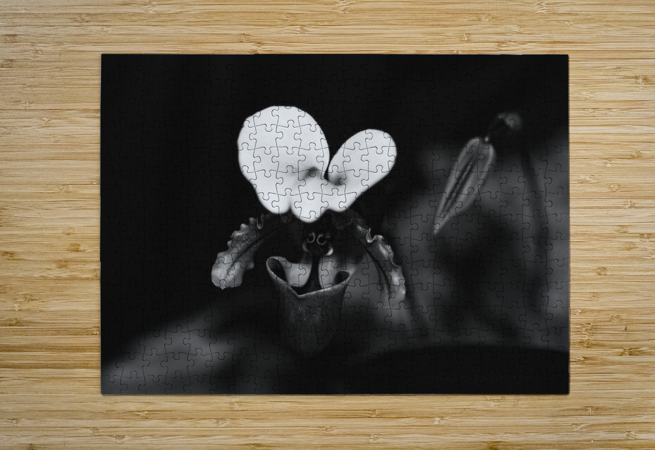 Black  White Floral Series 10 Bonnies Wall Art Puzzle printing