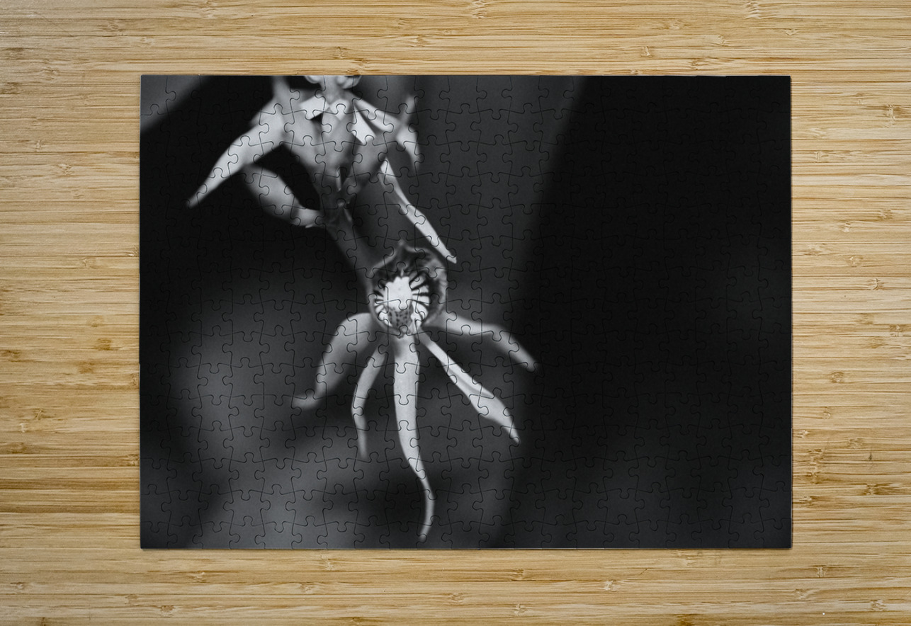 Black  White Floral Series 11 Bonnies Wall Art Puzzle printing