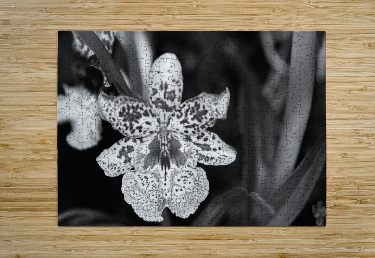 Black  White Floral Series 8 Bonnies Wall Art Puzzle printing