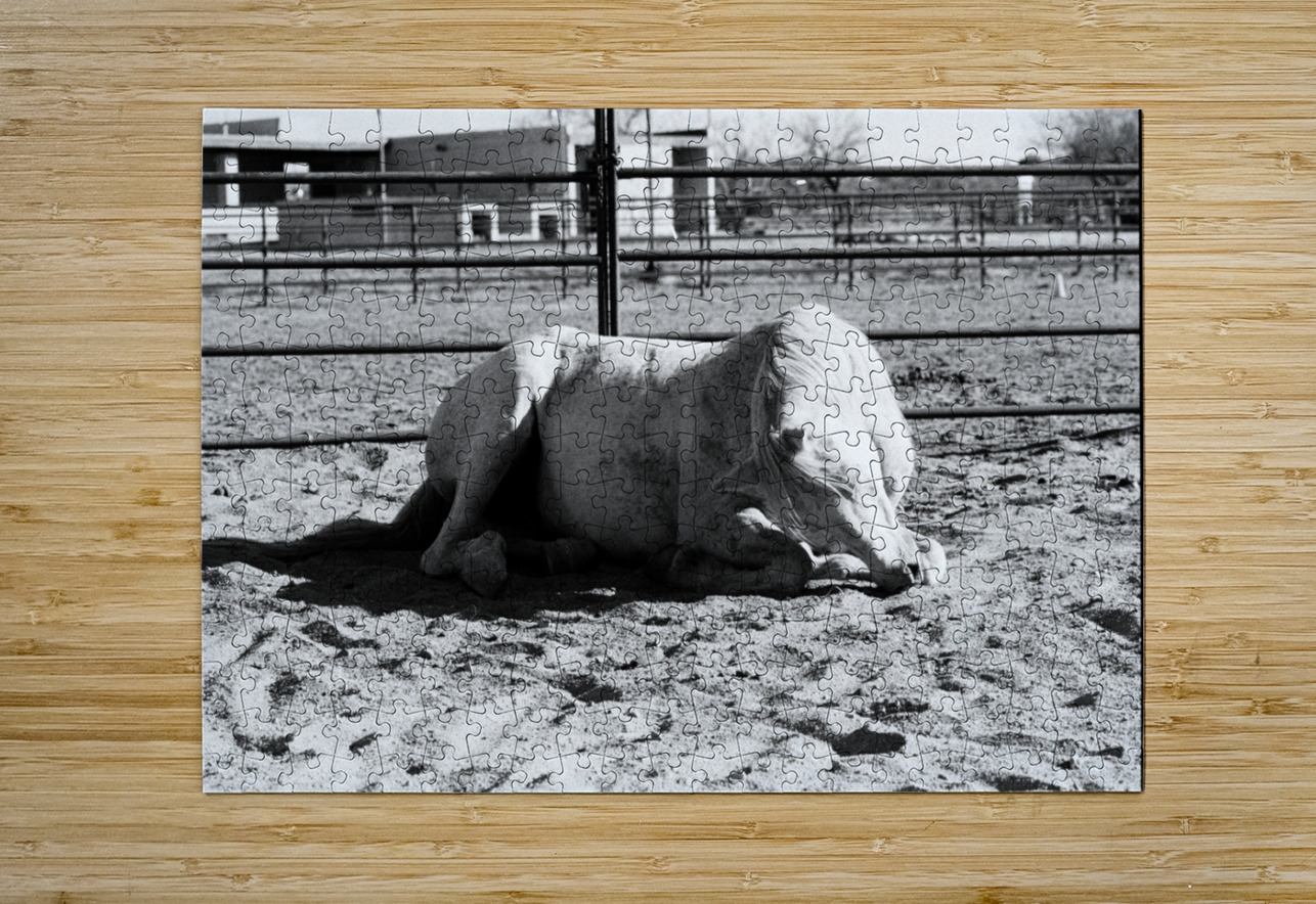 Magnificent Horse Pose 3 Bonnies Wall Art Puzzle printing