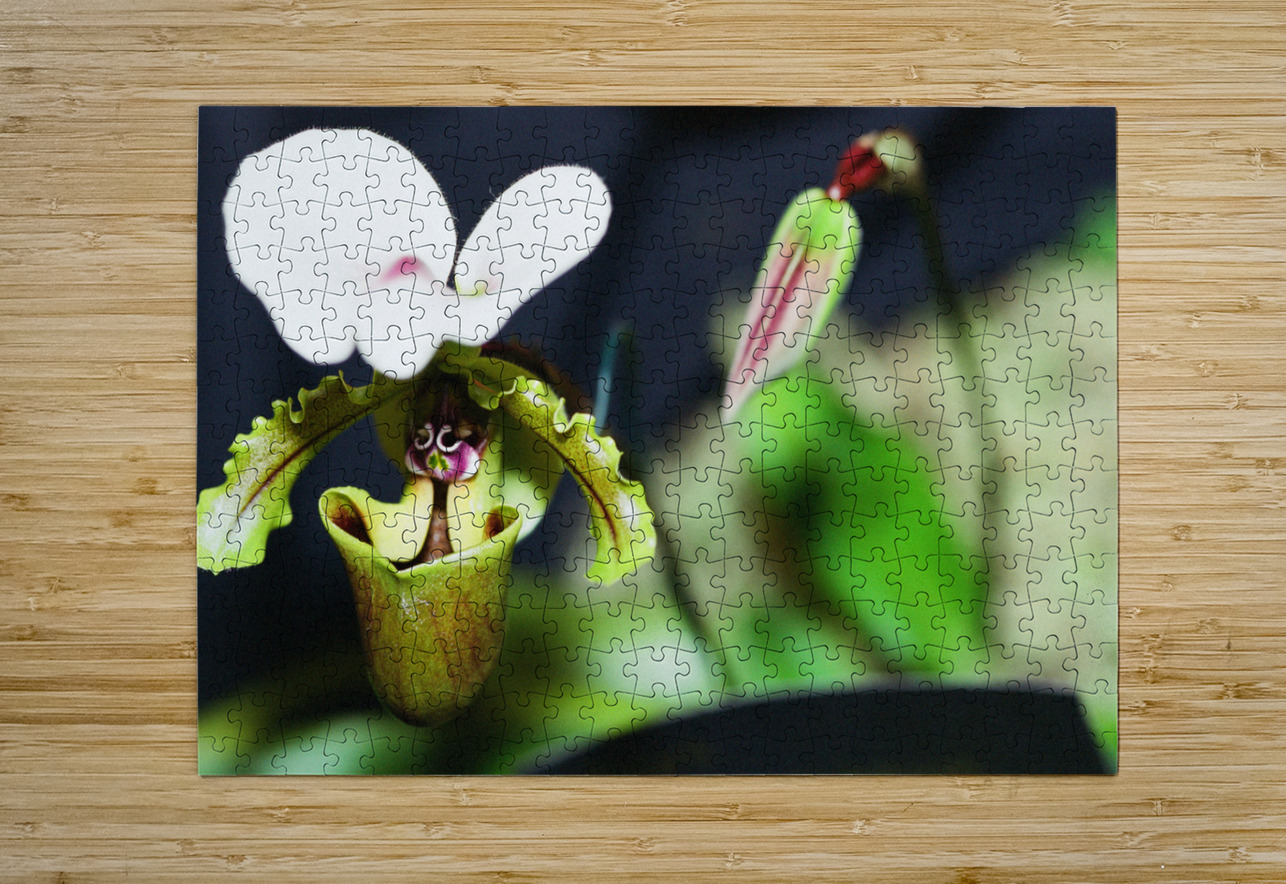 Green Orchid Bonnies Wall Art Puzzle printing
