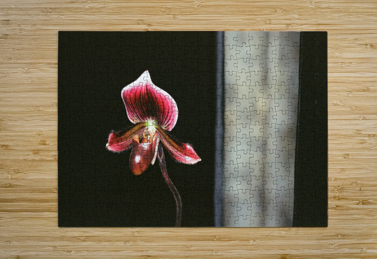 Red Orchid 2 Bonnies Wall Art Puzzle printing
