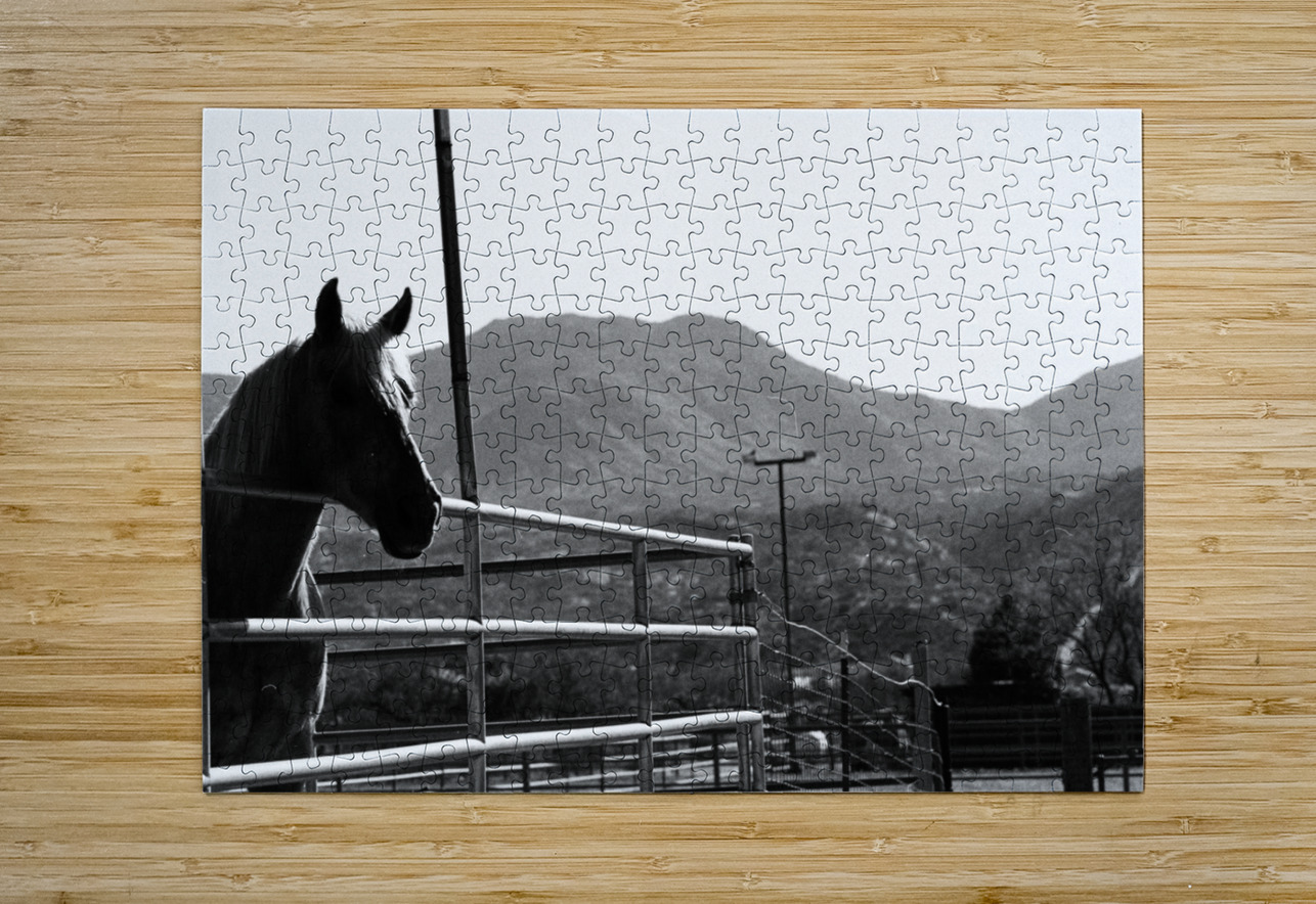Horse amidst the mountains Bonnies Wall Art Puzzle printing