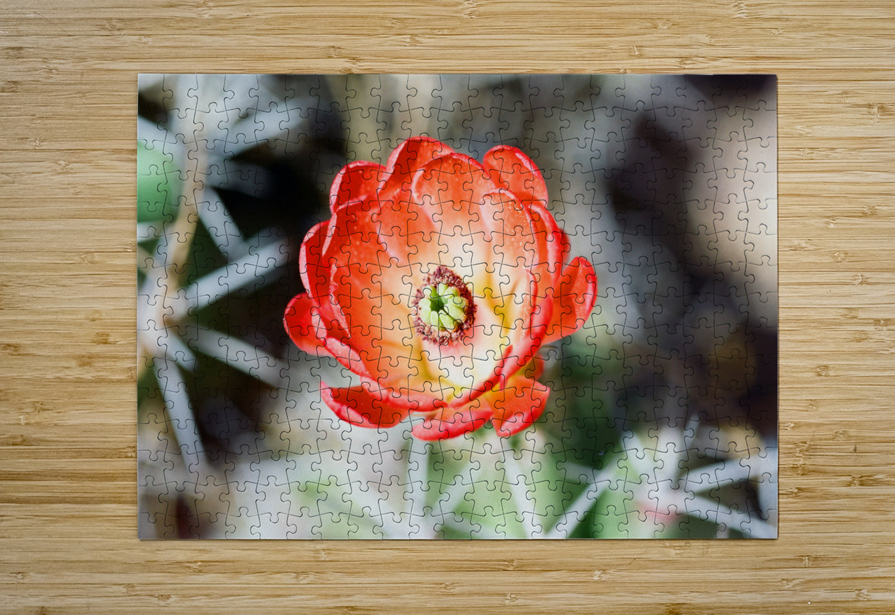 Red Cacti 2 Bonnies Wall Art Puzzle printing