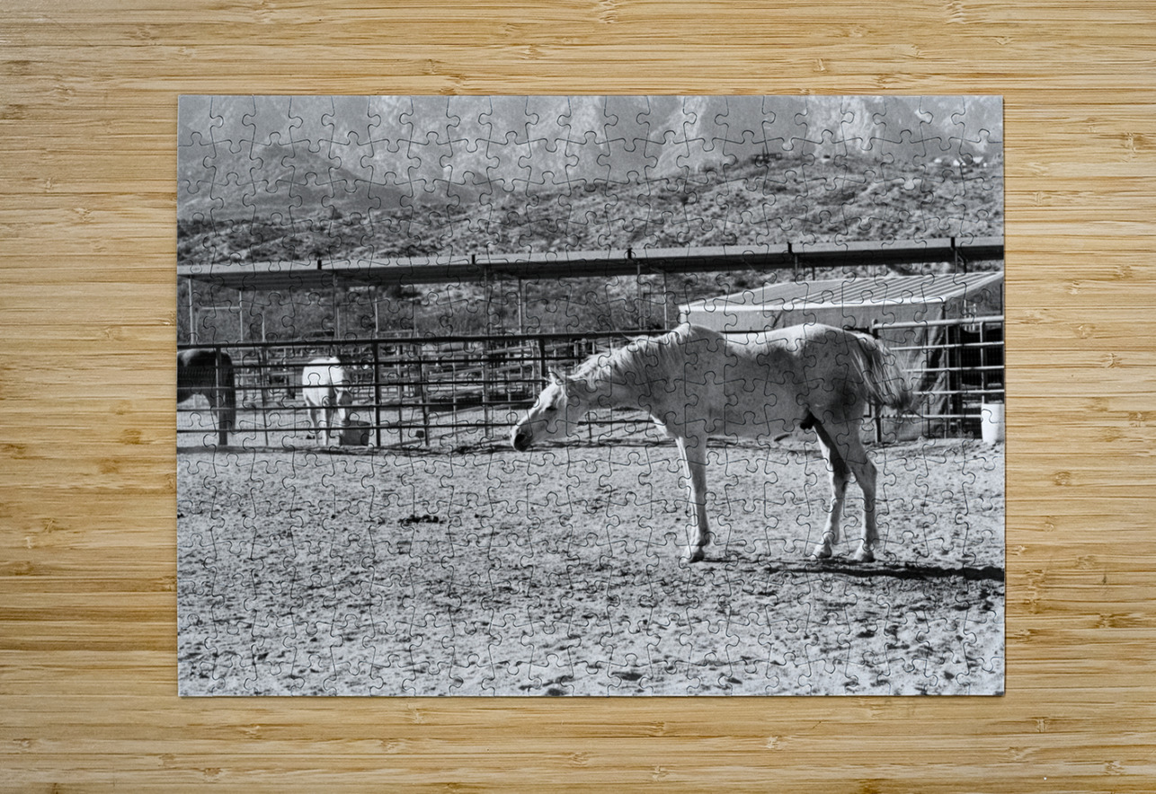 Horse Stretch Bonnies Wall Art Puzzle printing