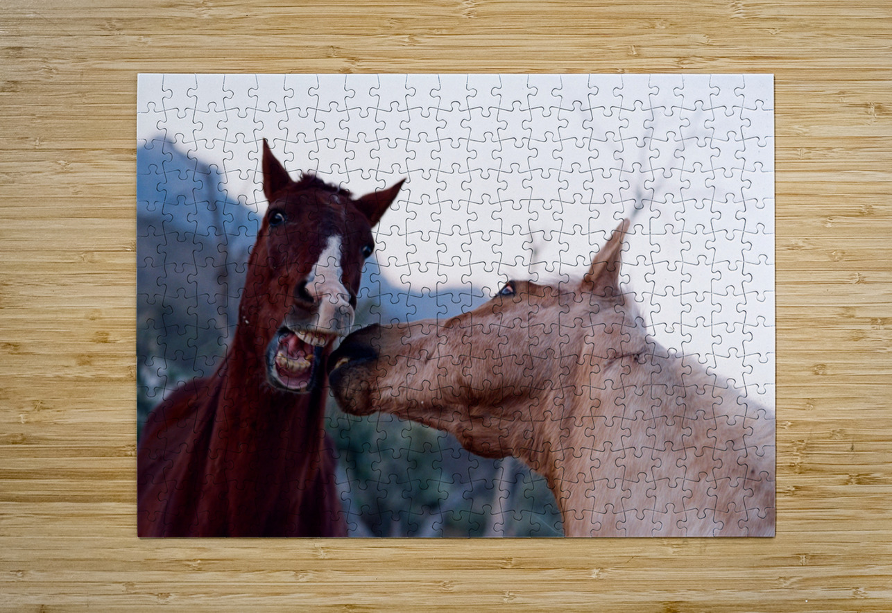 Horses Sparring Bonnies Wall Art Puzzle printing