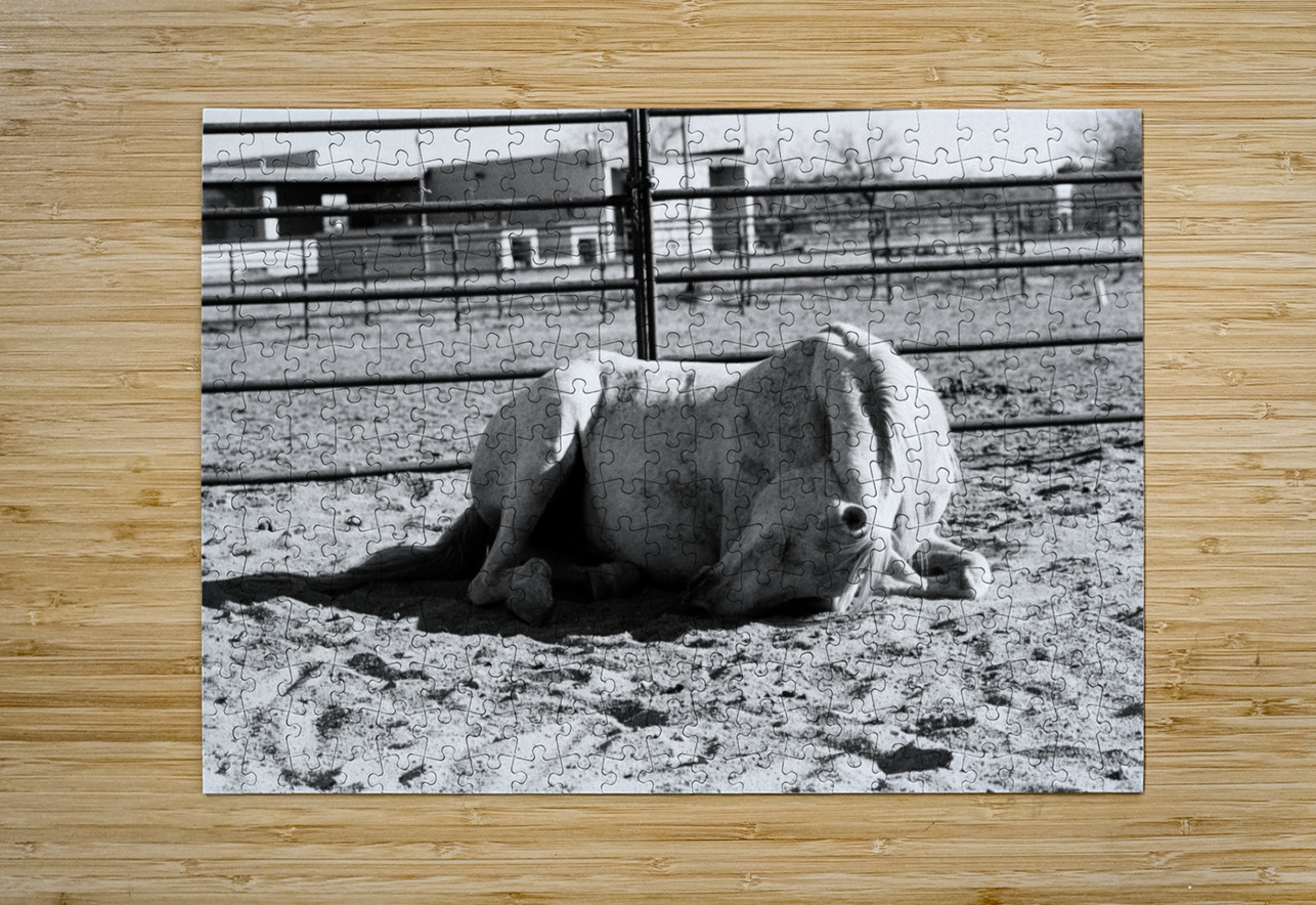 Magnificent Horse Pose 2 Bonnies Wall Art Puzzle printing